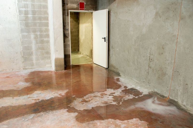 Basement Seepage Repair in Fort Myers, FL