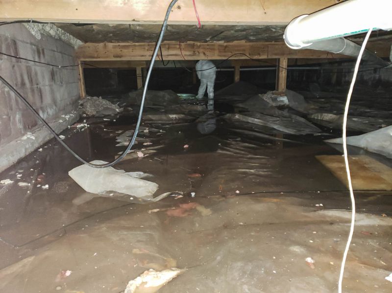 Wet Basement Solutions in Tampa, FL